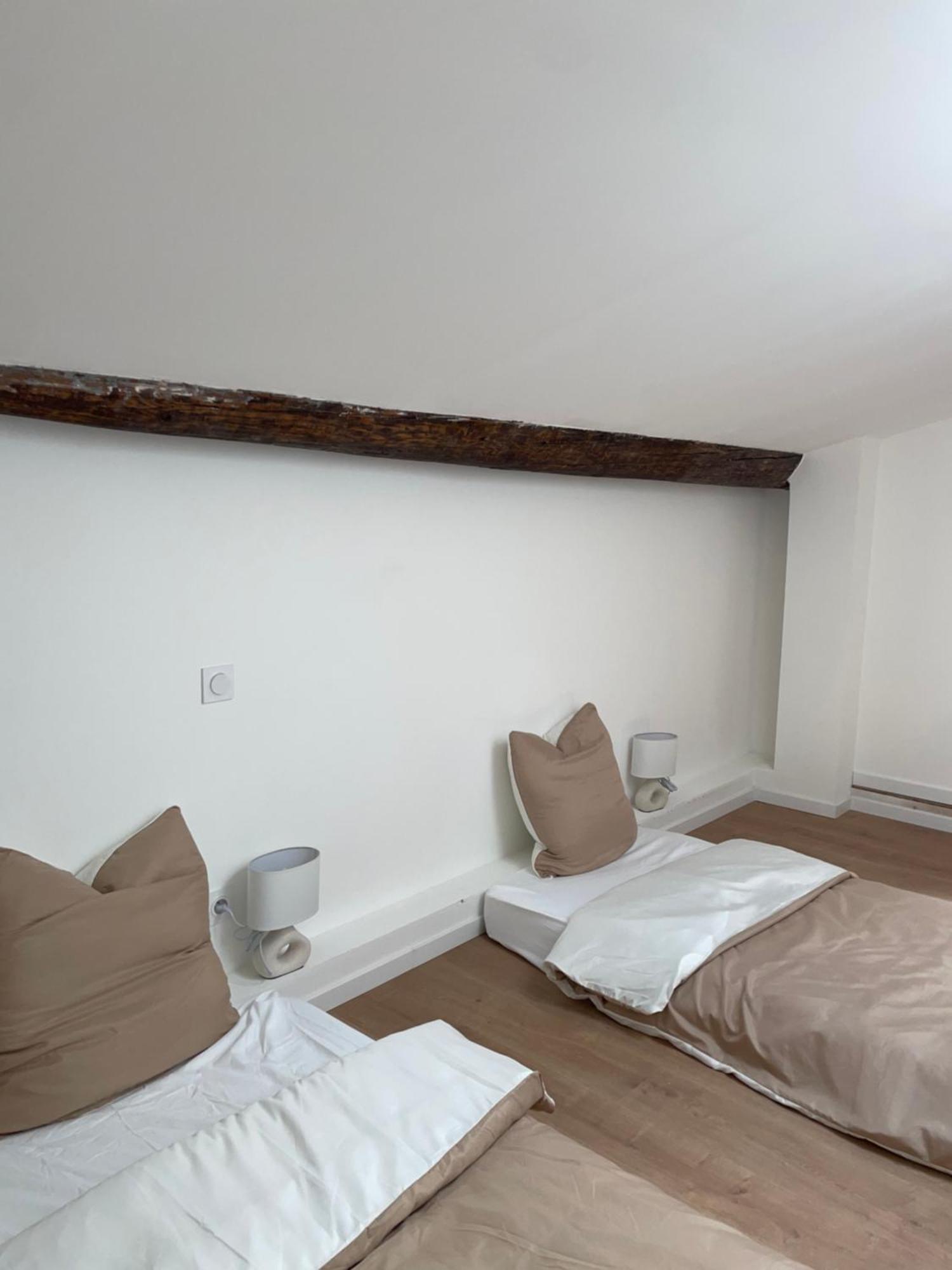 尼姆Duplex Raffine, Elegant & Climatise - La Mezz公寓 外观 照片